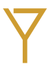 Iluzjonista Y