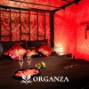Apartament Organza