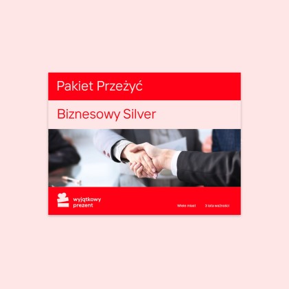 Pakiet Biznesowy "Silver"