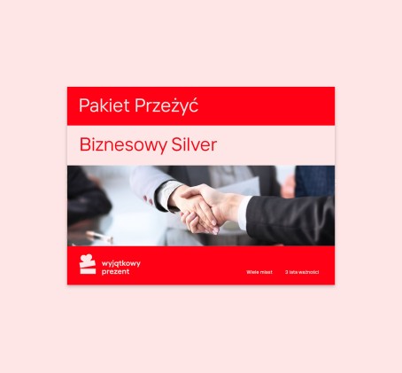 Pakiet Biznesowy "Silver"