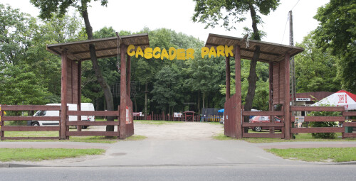 Przygoda na Linach dla Całej Rodziny | Poznań -prezent na imieniny