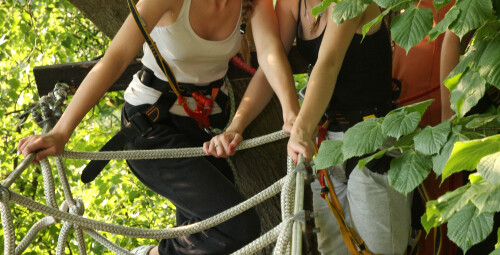 Przygoda na Linach ze Zjazdem Tyrolskim dla Dwojga | Poznań -prezent dla pary