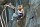 Skok na Bungee w Tandemie | Kraków
