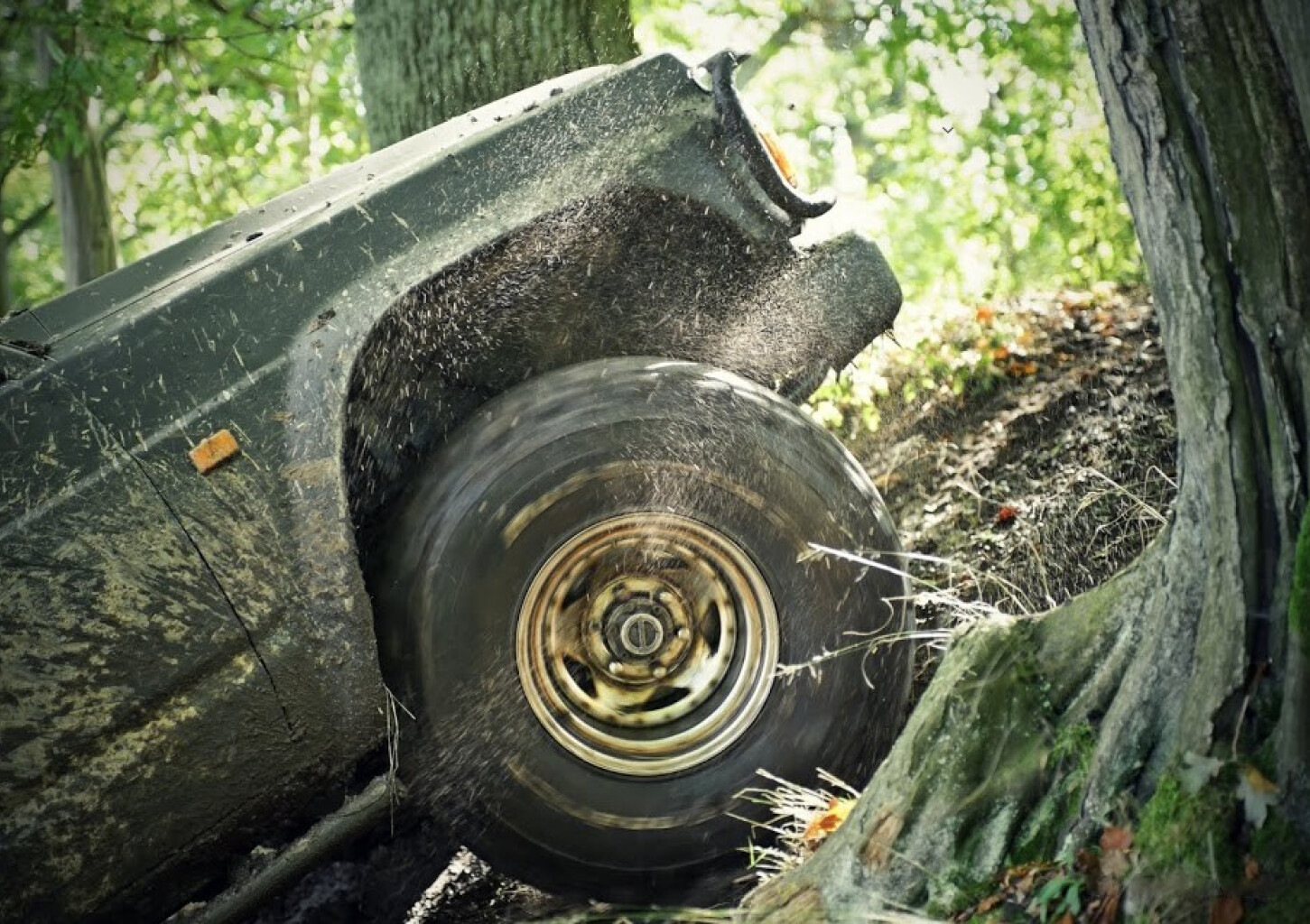 Szkolenie Off-road | Szczecin