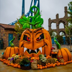 Niezapomniana Przygoda dla Dwojga w Parku Rozrywki Energylandia | Zator-Prezent na Święta_P