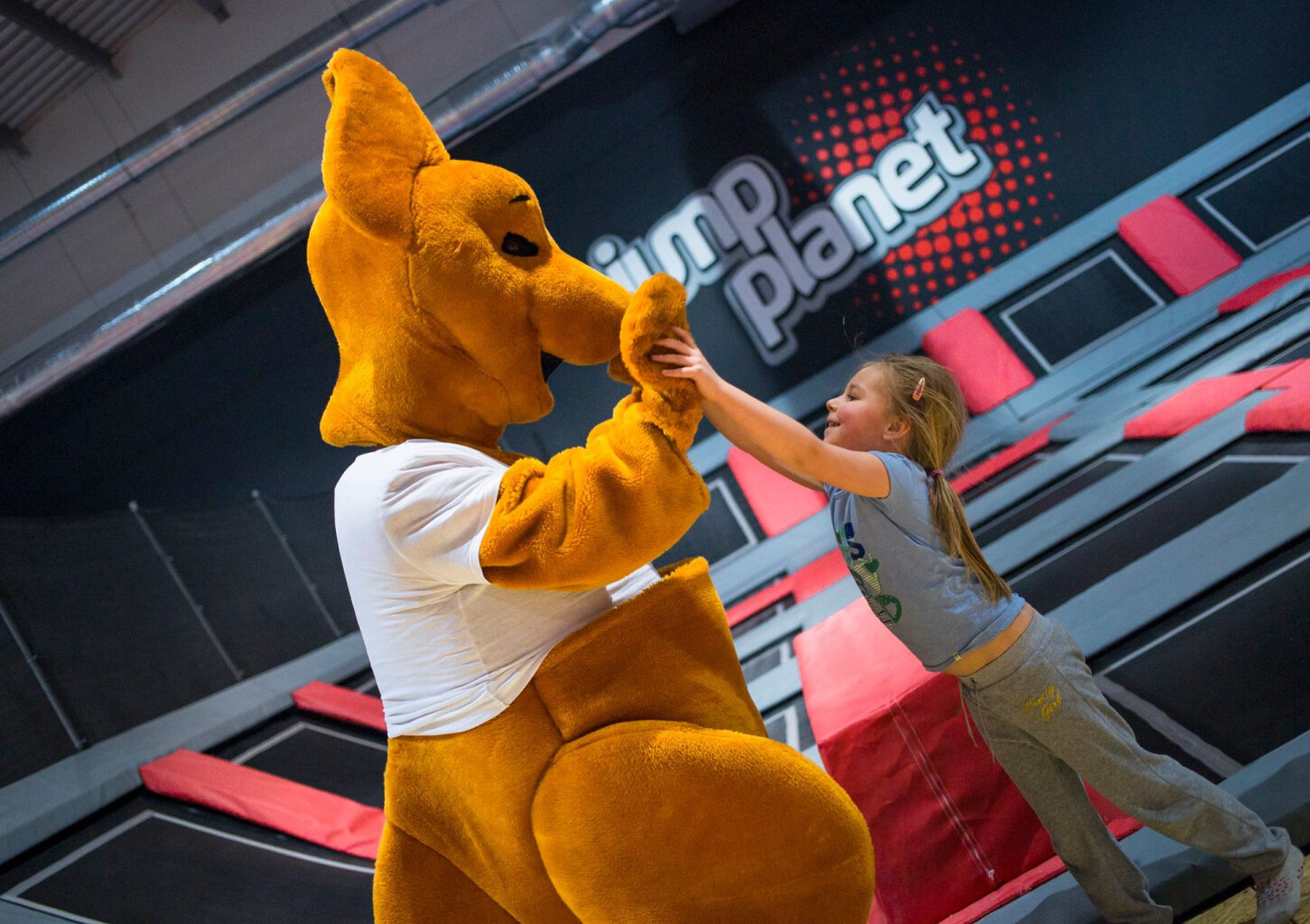 Szalona Zabawa w Parku Trampolin | Kalisz