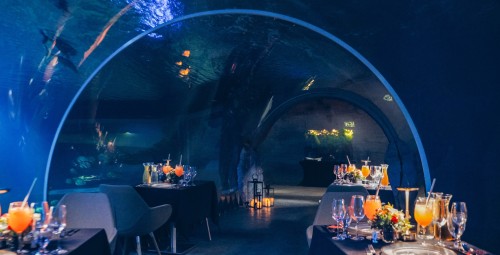 Podwodna Kolacja dla Dwojga - Prezent na zaręczyny_p