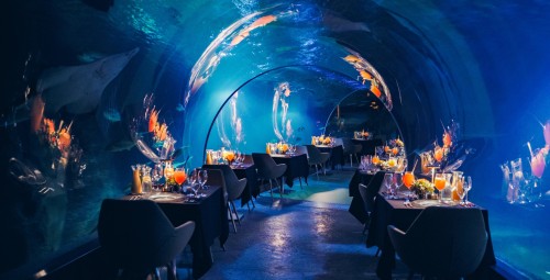 Podwodna Kolacja dla Dwojga - Prezent na zaręczyny_p