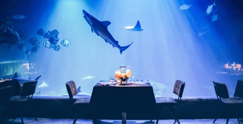 Podwodna Kolacja dla Dwojga - Prezent dla pary_p