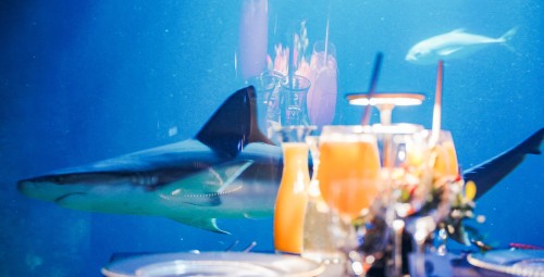 Podwodna Kolacja dla Dwojga - Prezent dla pary_p