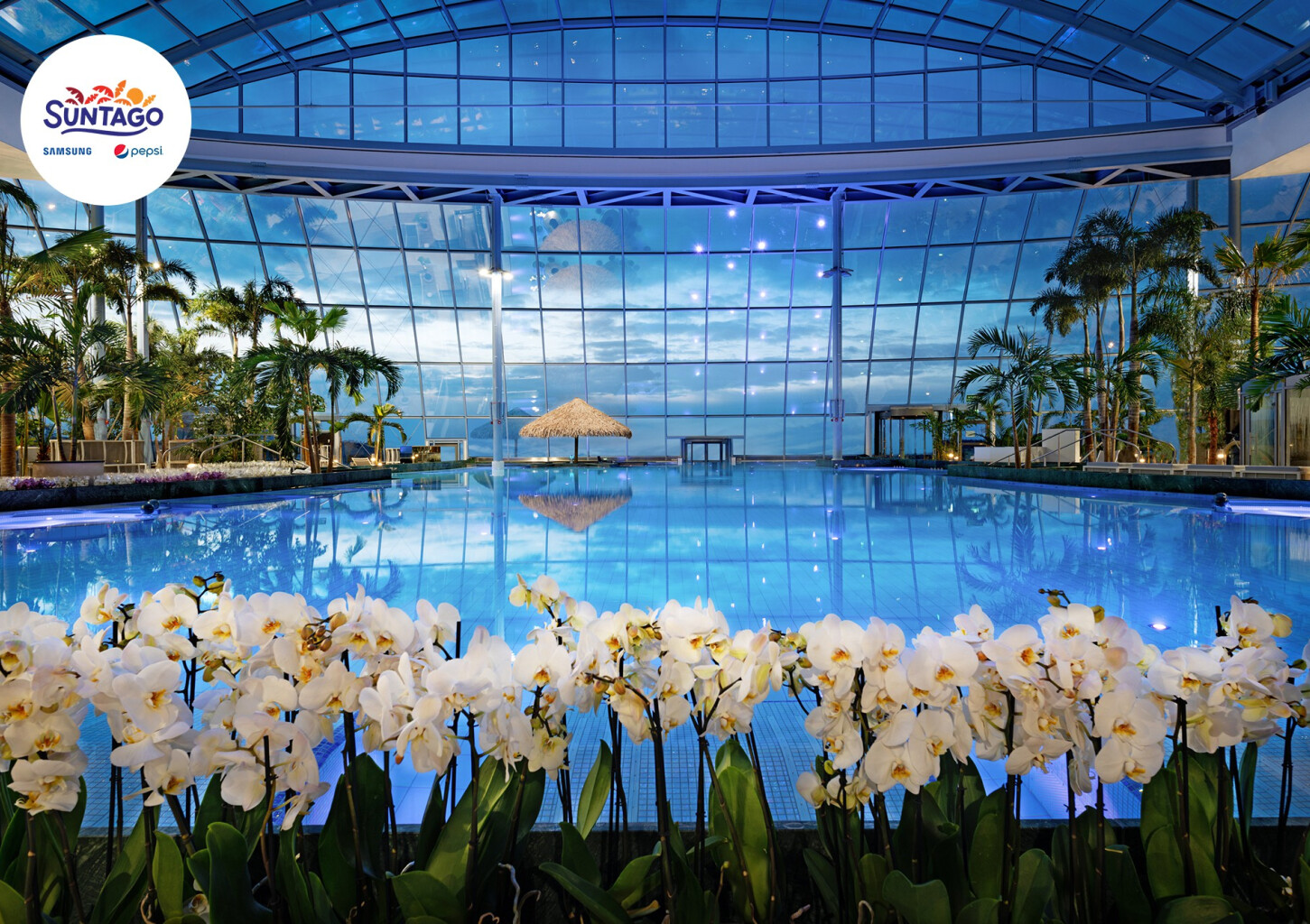 Całodniowe Tropikalne Wakacje pod Palmami w Suntago dla Dwojga | Mszczonów (okolice)