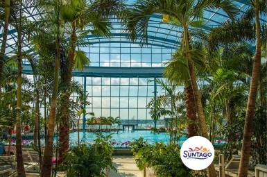 Całodniowe Tropikalne Wakacje pod Palmami w Suntago dla Rodziny | Mszczonów (okolice) | Suntago - prezent dla rodziny_P