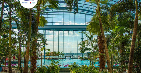 Całodniowe Tropikalne Wakacje pod Palmami w Suntago dla Rodziny | Mszczonów (okolice) | Suntago - prezent dla rodziny_P