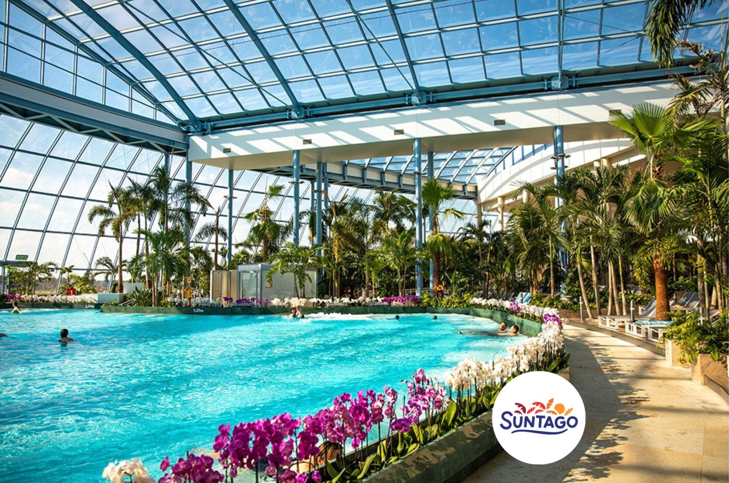 Całodniowe Tropikalne Wakacje pod Palmami w Suntago dla Przyjaciół | Mszczonów (okolice)