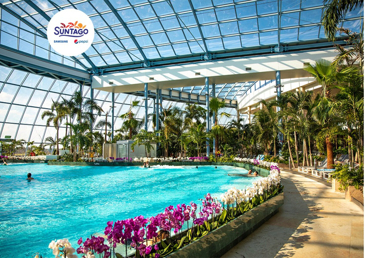 Całodniowe Tropikalne Wakacje pod Palmami w Suntago dla Przyjaciół | Mszczonów (okolice)