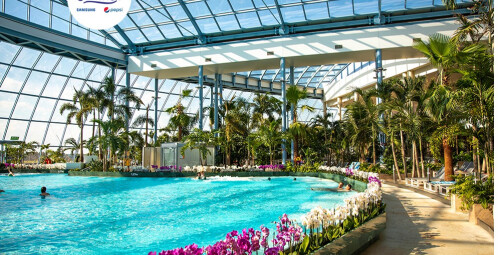 Całodniowe Tropikalne Wakacje pod Palmami w Suntago dla Przyjaciół | Mszczonów (okolice) | Suntago - prezent dla znajomych_P