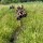 Survival "Bieszczady"
