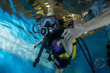 Poznaj Nurkowanie | Katowice (okolice) | Art of Dive | - prezent dla znajomych_P