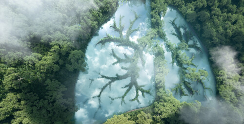 Sesja Tlenoterapii w Grocie Solnej VIP dla Dwojga | Mińsk Mazowiecki (okolice) | Normobaria Mińsk Mazowiecki | - prezent dla niego_SS