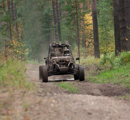 Jazda Buggy (30 minut) | Warszawa (okolice)