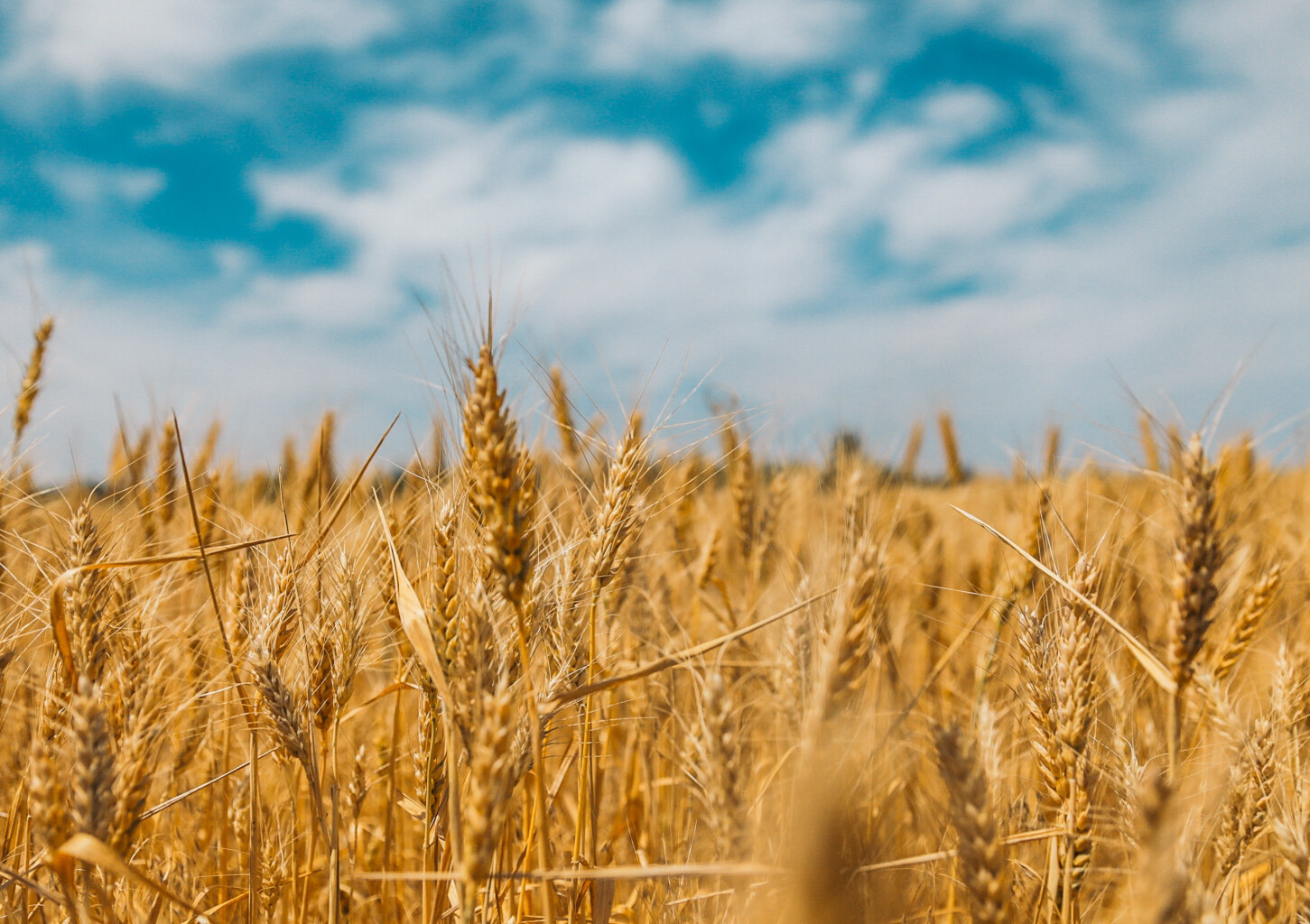 Wsparcie - UNICEF Polska