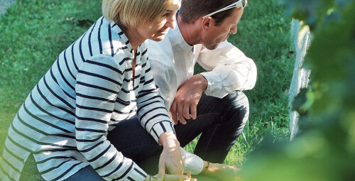 Zwiedzanie Winnicy z Degustacją dla Dwojga | Katowice (okolice) | Prezent dla Znajomych_PP