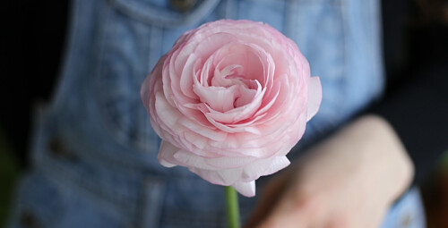 Warsztaty Florystyczne