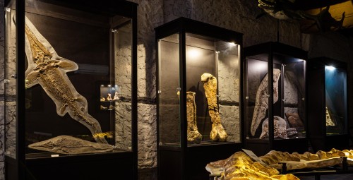 Całodniowa Zabawa w Bałtowskim Kompleksie Turystycznym dla Rodziny (1+1) | Kielce (okolice) | Prezent dla Dziecka_P