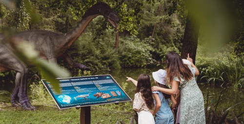 Całodniowa Zabawa w Bałtowskim Kompleksie Turystycznym dla Rodziny (2+2) | Kielce (okolice) | Prezent dla Rodziny_P