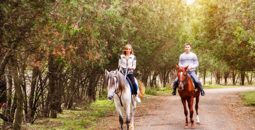 Instruktor Jazdy Konnej | Kurs Online | Prezent dla Taty_SS