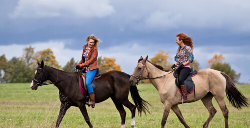 Instruktor Jazdy Konnej | Kurs Online | Prezent dla Mamy_SS