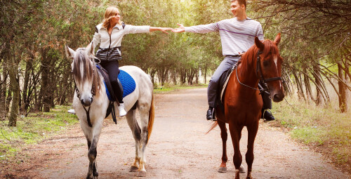 Instruktor Jazdy Konnej | Kurs Online | Prezent dla Niego_SS