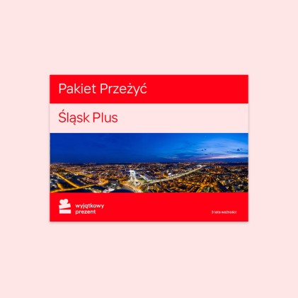 Pakiet Przeżyć "Śląsk Plus"