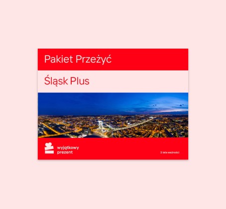 Pakiet Przeżyć "Śląsk Plus"
