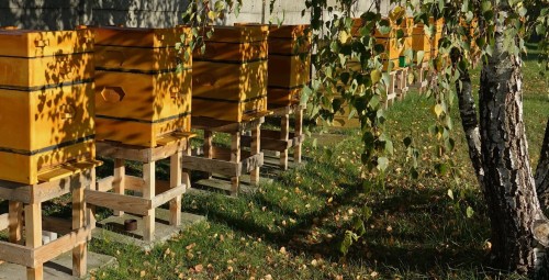 Zwiedzanie Miodosytni z Degustacją dla Dwojga | Tomaszów Mazowiecki-Prezent na Dzień Babci i Dziadka_P