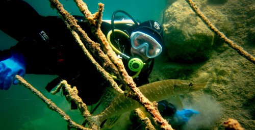 Nurkowanie w Podwodnym Kamieniołomie dla Dwojga | Ślesin | Prezent dla Znajomych_P