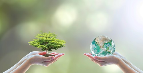 Ekologiczne Wyzwania | Kurs Online - Prezent dla Przyjaciółki _S
