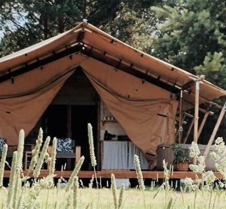 Odprężający Pobyt w Namiocie "Safari"  (2 Noce, 1-4 Osoby) | Glamping Kwiejcówka | Kwiejce