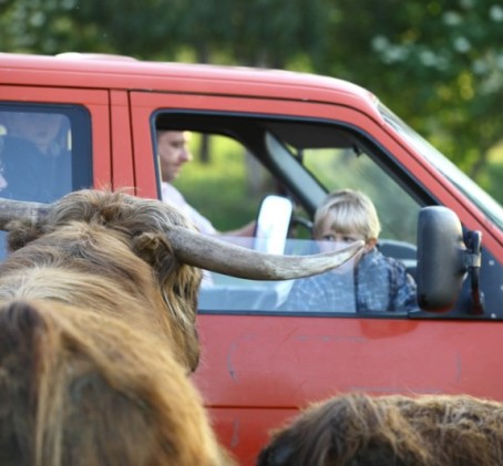 Samochodowe Safari dla Dwojga | Wydminy
