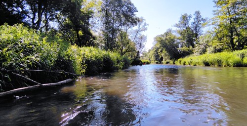 Spływ Kajakowy dla Przyjaciół | Ćmielów-Prezent dla Niego_P