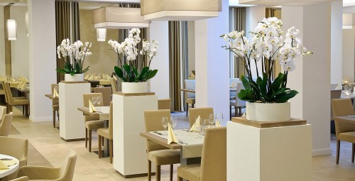 Autorska Kolacja dla Dwojga | Płock - Prezent dla Pary _P