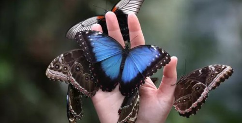 Niezapomniana Przygoda w Parku Rozrywki | Kraków-Prezent dla Dziewczyny_P