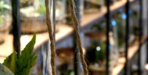 Warsztaty z Tworzenia Lasu w Szkle dla Dwojga | Zamość | Prezent na Rocznicę_P