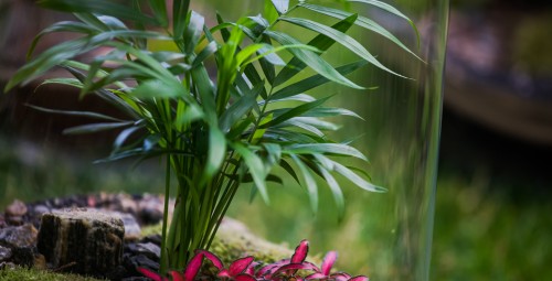 Warsztaty z Tworzenia Lasu w Szkle dla Dwojga | Zamość | Prezent dla Przyjaciół_P