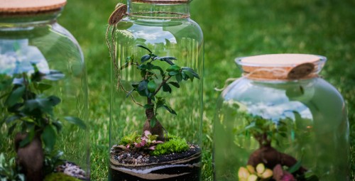 Warsztaty z Tworzenia Lasu w Szkle dla Dwojga | Zamość | Prezent dla Znajomych_P