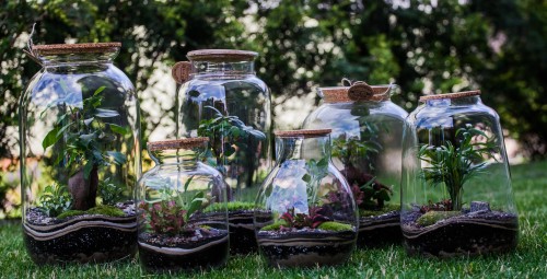 Warsztaty z Tworzenia Lasu w Szkle dla Dwojga | Zamość | Prezent dla Dwojga_P