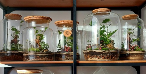 Warsztaty z Tworzenia Lasu w Szkle dla Przyjaciół | Zamość | Prezent dla Kolegów_P