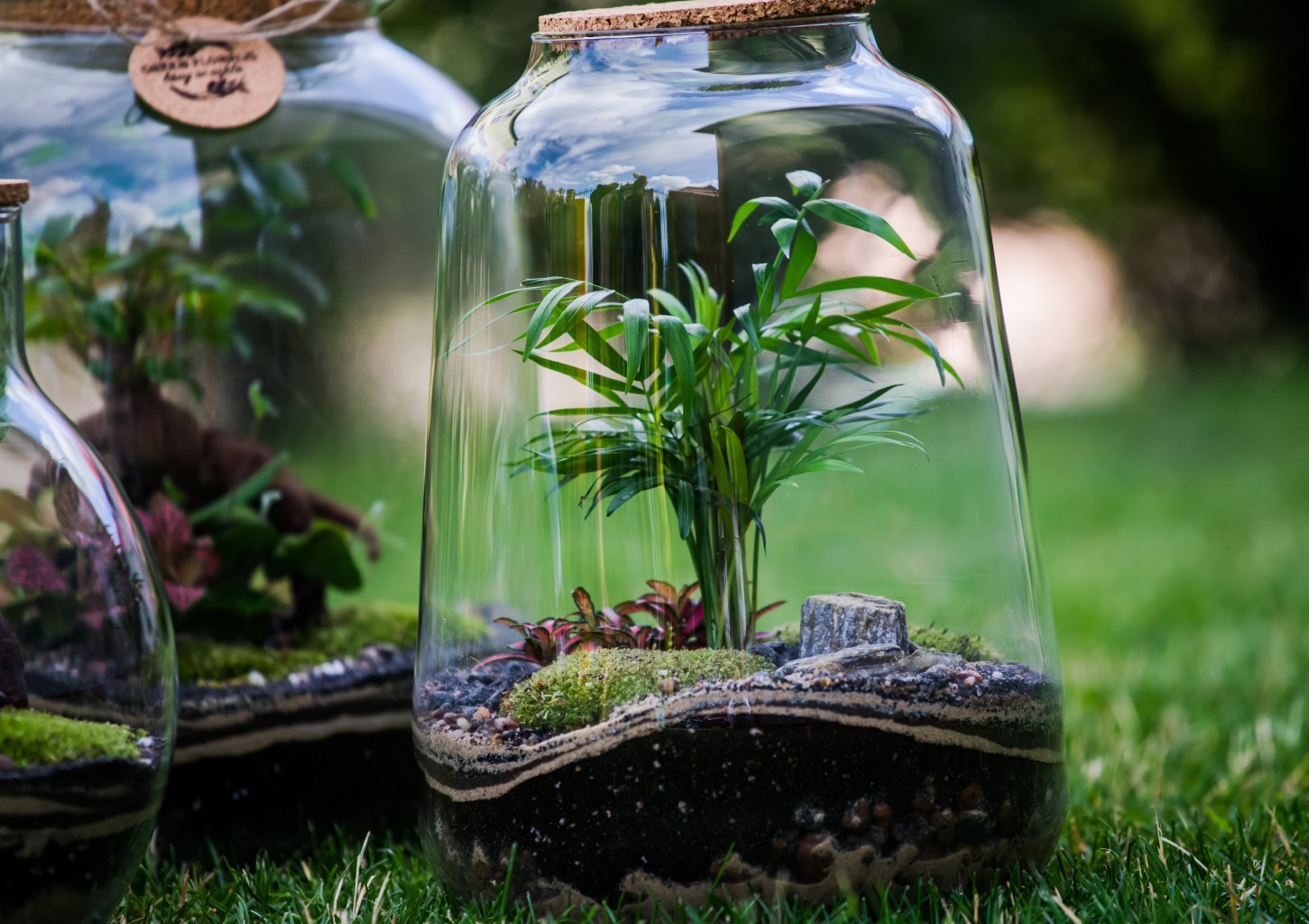 Warsztaty z Tworzenia Lasu w Szkle dla Przyjaciół | Bydgoszcz (okolice)