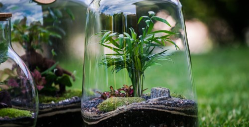 Warsztaty z Tworzenia Lasu w Szkle dla Przyjaciół | Zamość | Prezent dla Przyjaciół_P