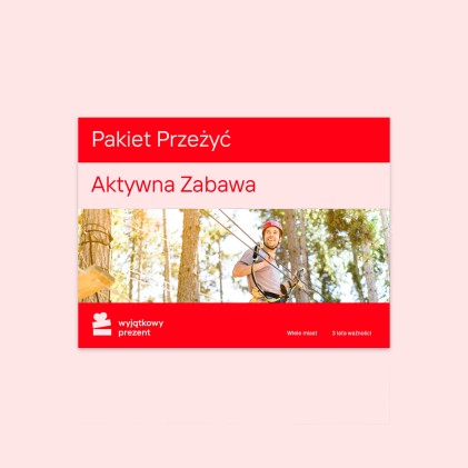 Pakiet Przeżyć "Aktywna Zabawa"